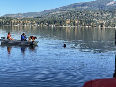 K9 Training