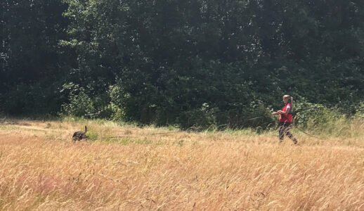 K9 Training