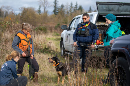 K9 Training K9 Training
