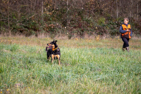 K9 Quinn K9 Quinn
